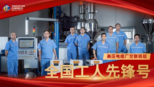 致敬!丨js345线路检测股份交联班组荣膺“全国工人先锋号”