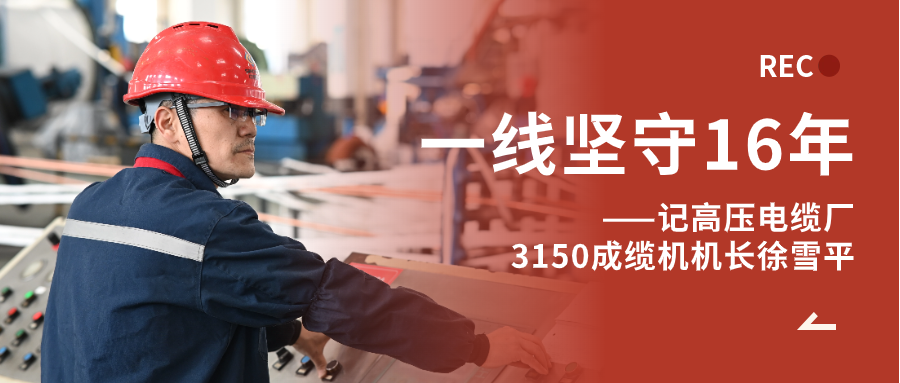 徐雪平：匠“成”于心，十六年筚路“缆”缕